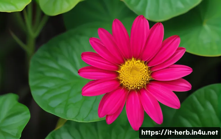 Stress addio: le soluzioni naturali e olistiche che ogni italiano dovrebbe conoscere 3 한방병원에서의 스트레스 관리 관련 이미지 1